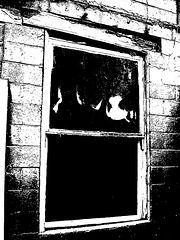 Fantômes observateurs / Observant ghosts - Vardaman, Mississippi. USA - 9 juillet 2010.