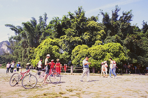 Big Banyan Tree