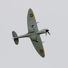 Spitfire d