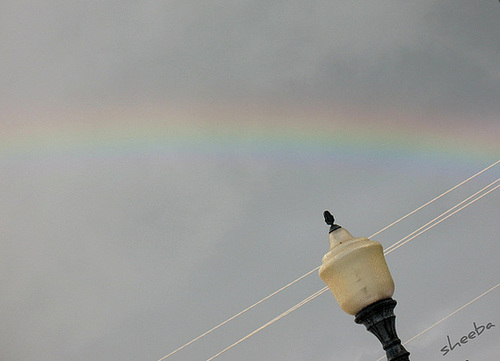 A Rainbow for - Tin Can Gypzees...