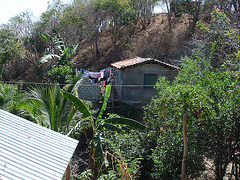 Sur le chemin entre Zipolite et Puerto Angel, Oaxaca. Mexique / 18 janvier 2011.