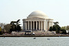 91.CherryBlossoms.TidalBasin.SW.WDC.31March2006