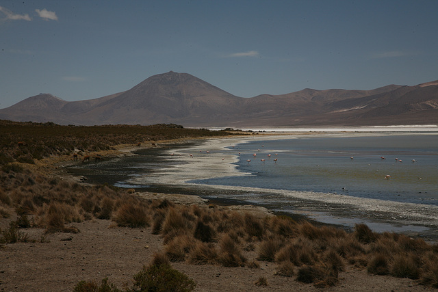 Salar De Surire