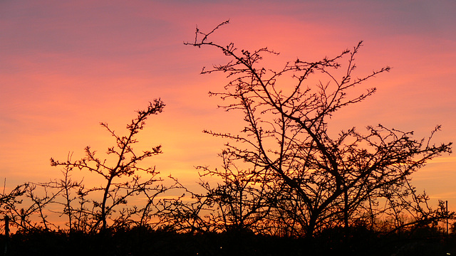 Abendrot 2011-02-06