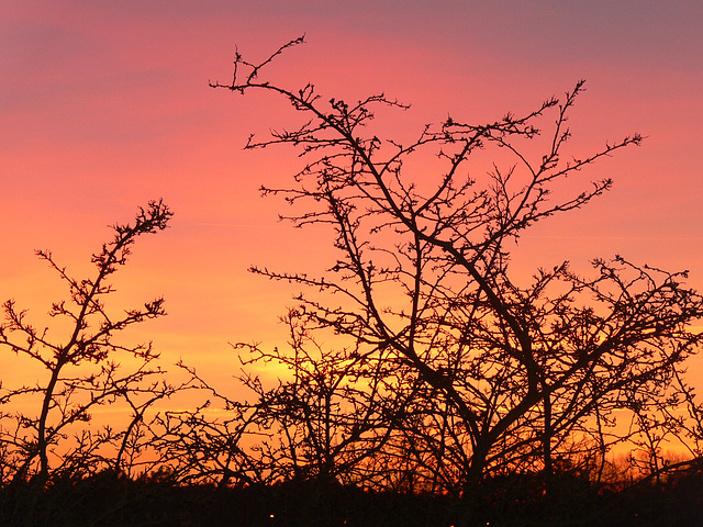 Abendrot