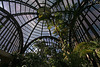 Balboa Park Botanical Pavilion (8102)