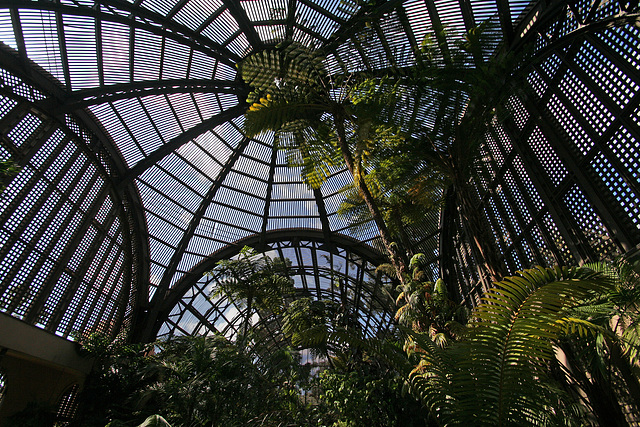 Balboa Park Botanical Pavilion (8102)