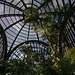 Balboa Park Botanical Pavilion (8102)