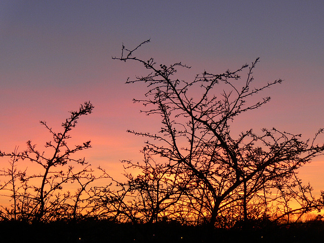 abendroter Himmel