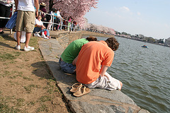 103.CherryBlossoms.TidalBasin.SW.WDC.31March2006