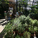 Balboa Park Botanical Pavilion (8117)