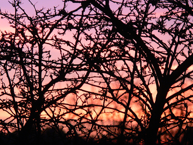 facettenreiches Abendrot