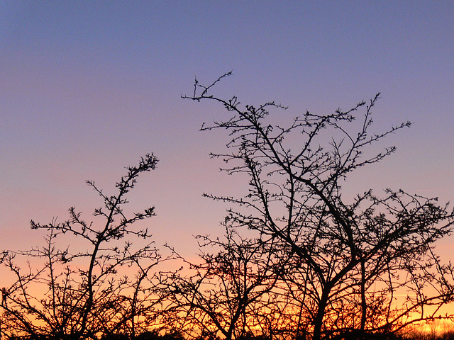 abendroter Himmel