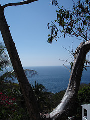 Sur le chemin entre Zipolite et Puerto Angel, Oaxaca. Mexique / 14 janvier 2011.