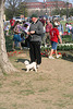 106.CherryBlossoms.TidalBasin.SW.WDC.31March2006