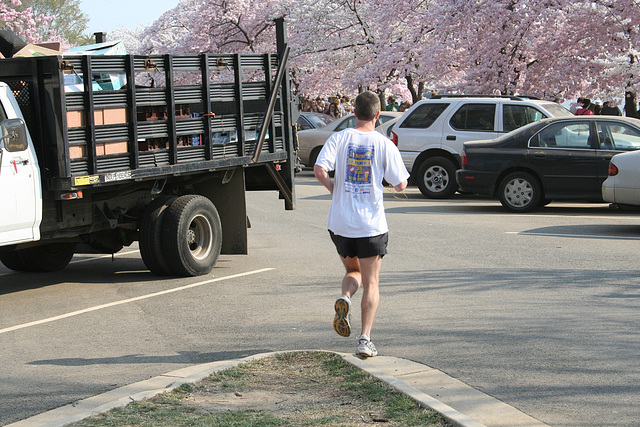 108.CherryBlossoms.TidalBasin.SW.WDC.31March2006