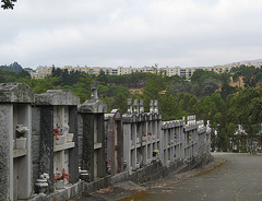 Marin Cemetery 3063a