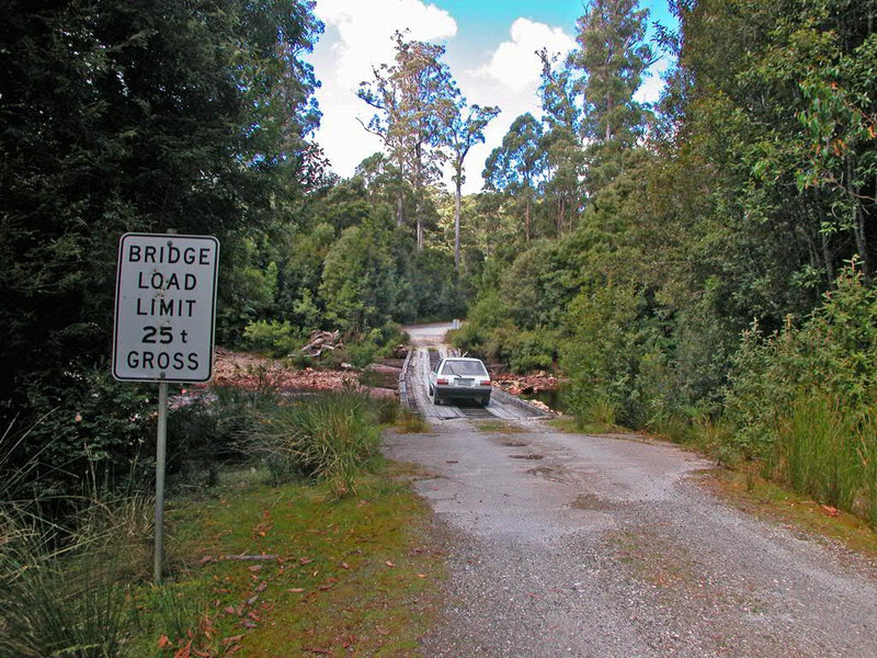 Road through the Forst Reserve