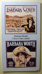 Barbara Worth (8307)