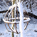 20101218 9029Aw [D~LIP] Weidengeflecht und Schnee, UWZ, Bad Salzuflen