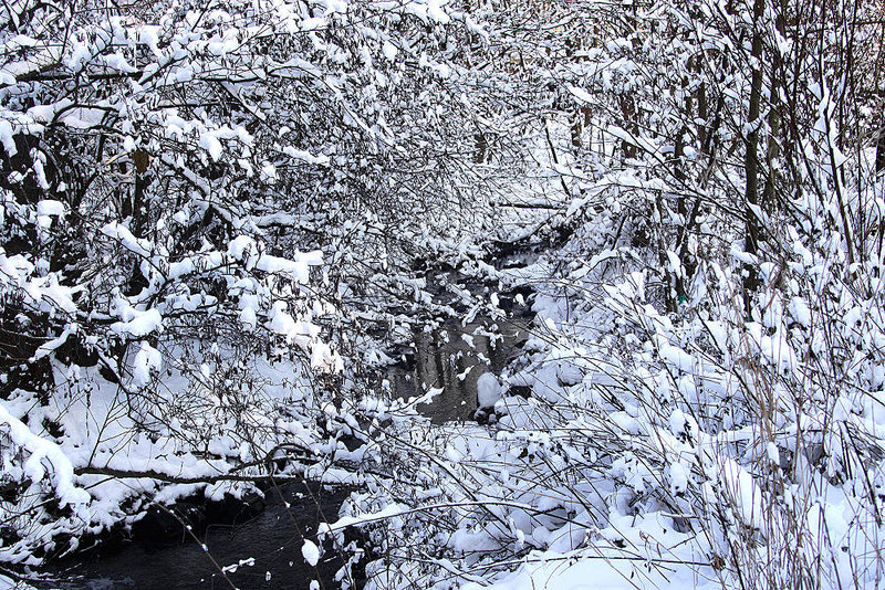 20101218 9036Aw [D~LIP] Bach im Schnee, UWZ, Bad Salzuflen