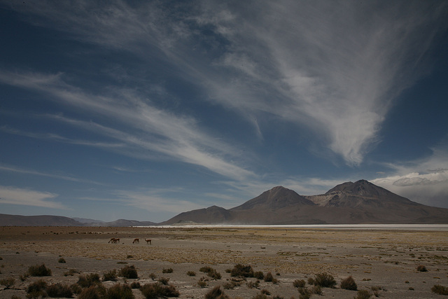 Mountains near the Salar de Surire