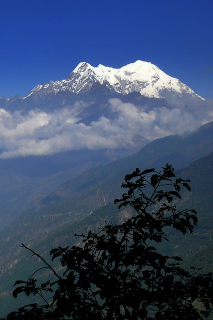 Langtang Lirung 7227 m