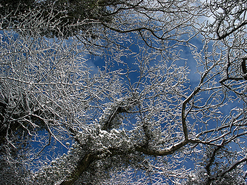 Blick zum Himmel