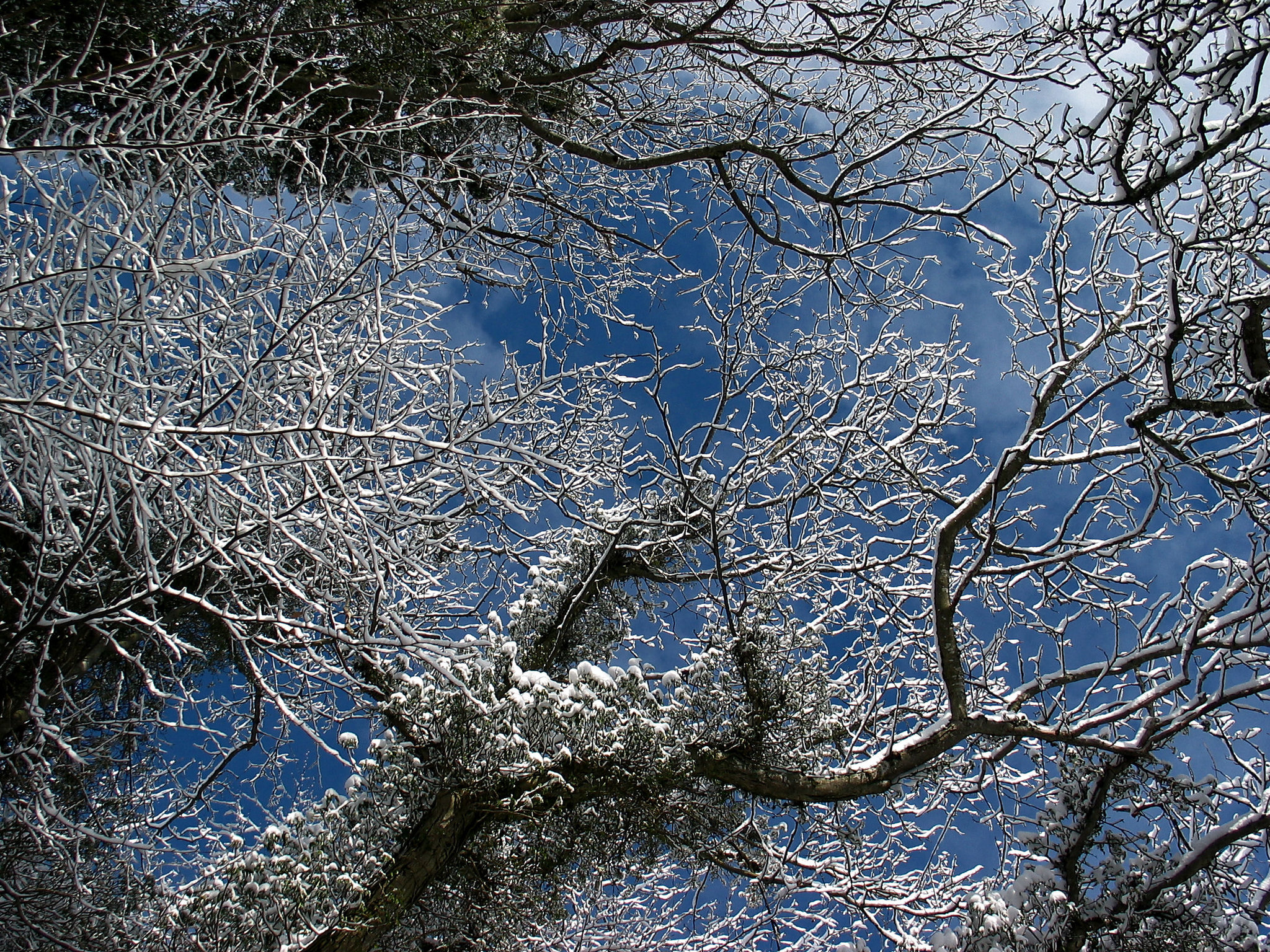 Blick zum Himmel