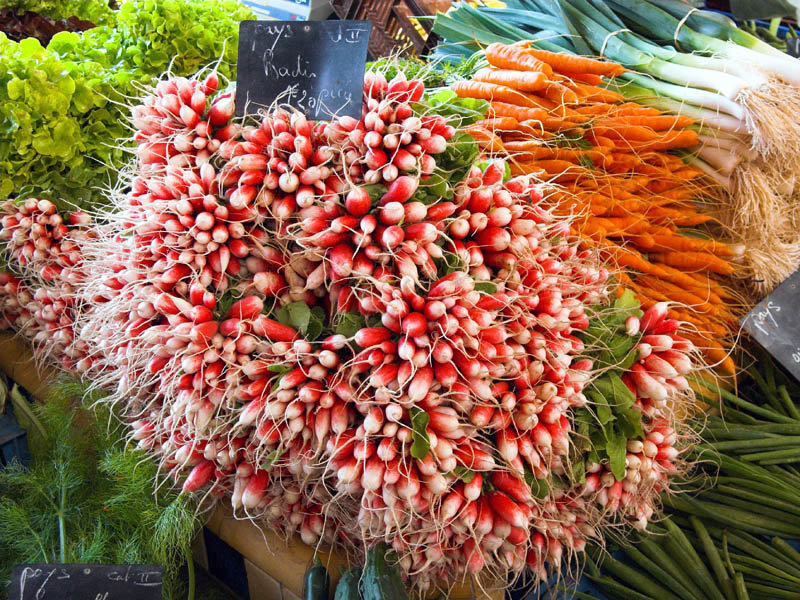 Le Touquet radishes