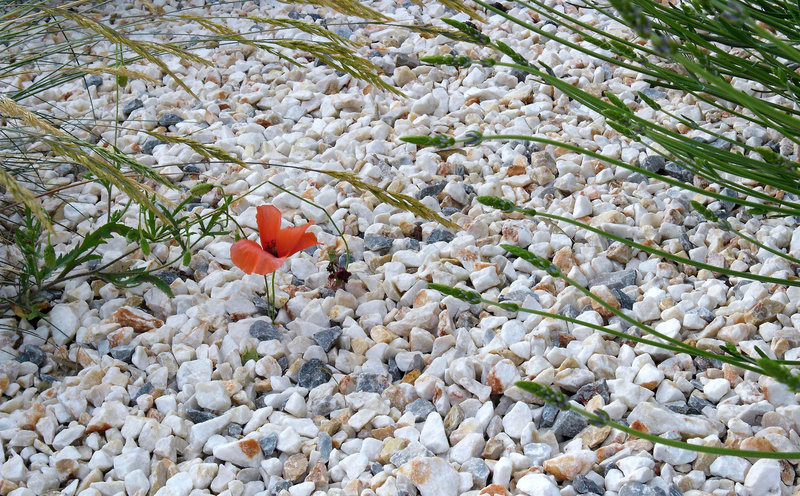 Fragile ...