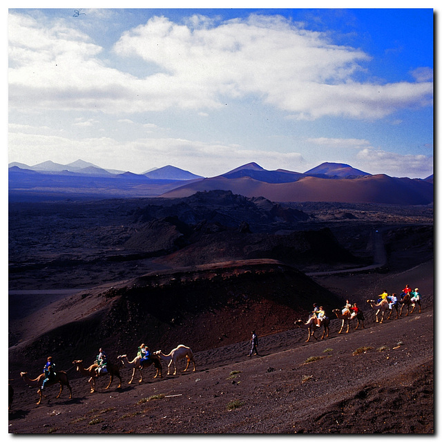 Kamelritt im Nationalpark Timanfaya