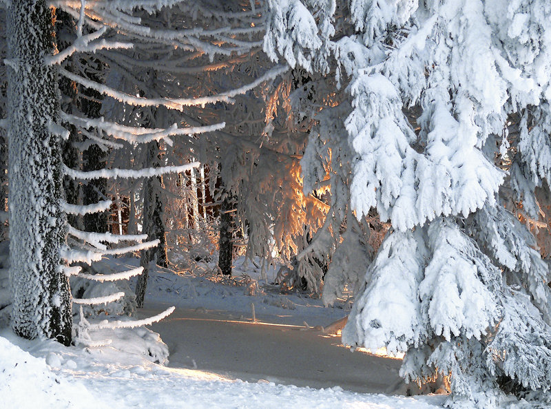 la neige et le feu : le chant du feu