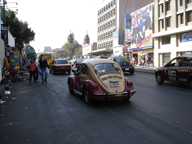 Mexico City DF / 11 janvier 2011.