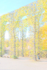 Arbres 1