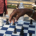 07.Chess.DupontCircle.WDC.5July2010
