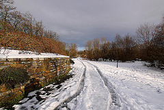 20110108 9184Ww [D~LIP] Schneelandschaft, UWZ, Bad Salzuflen