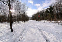 20110108 9186Ww [D~LIP] Schneelandschaft