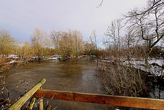 20110108 9187Ww [D~LIP] Werre-Hochwasser, UWZ, Bad Salzuflen