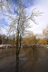 20110108 9192Ww [D~LIP] Werre-Hochwasser, UWZ, Bad Salzuflen