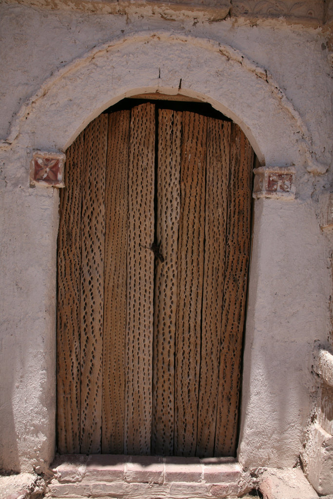 Door made from sliced cactus stem