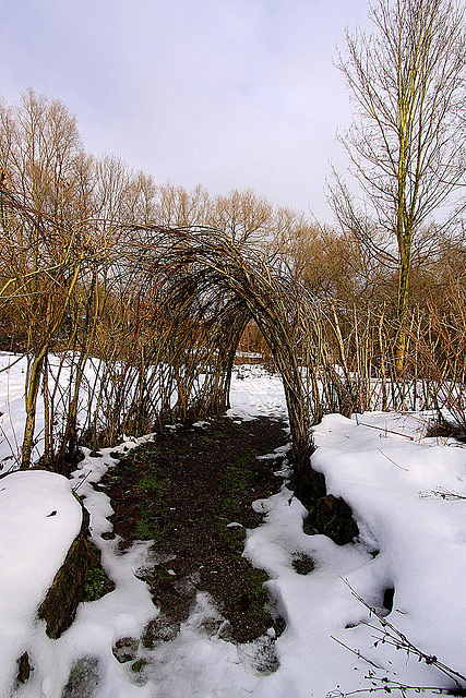 20110108 9194Ww [D~LIP] Schneelandschaft, UWZ, Bad Salzuflen