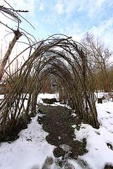 20110108 9195Ww [D~LIP] Weidentunnel, UWZ, Bad Salzuflen