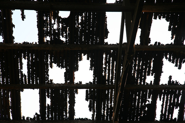 'Rotting' corrugated iton roof - Humberstone