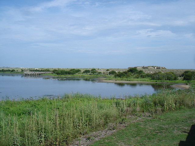 Cape May point state park / New - Jersey, USA / 19 juillet 2010