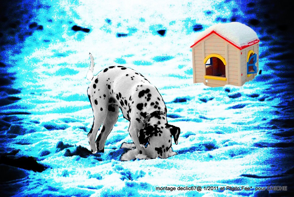 little house  3