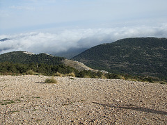 DSCF3304