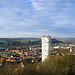 Blick von der Veitsburg auf die Dächer von Ravensburg