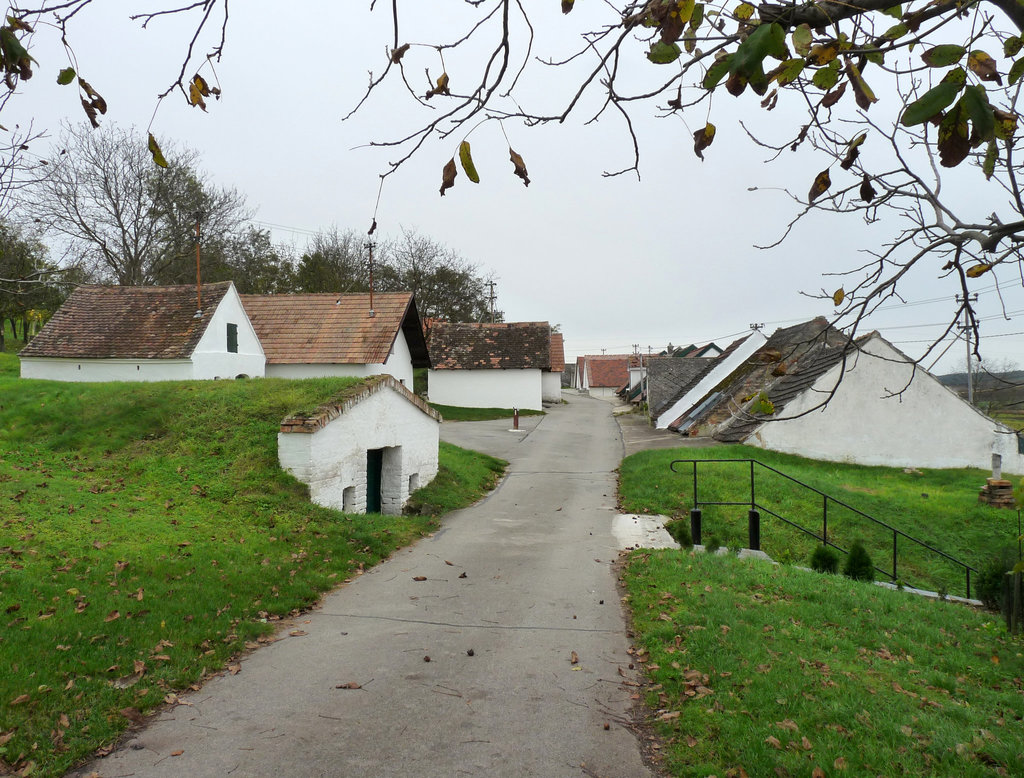 Kellergasse "am Galgenberg" in Wildendürnbach, NÖ