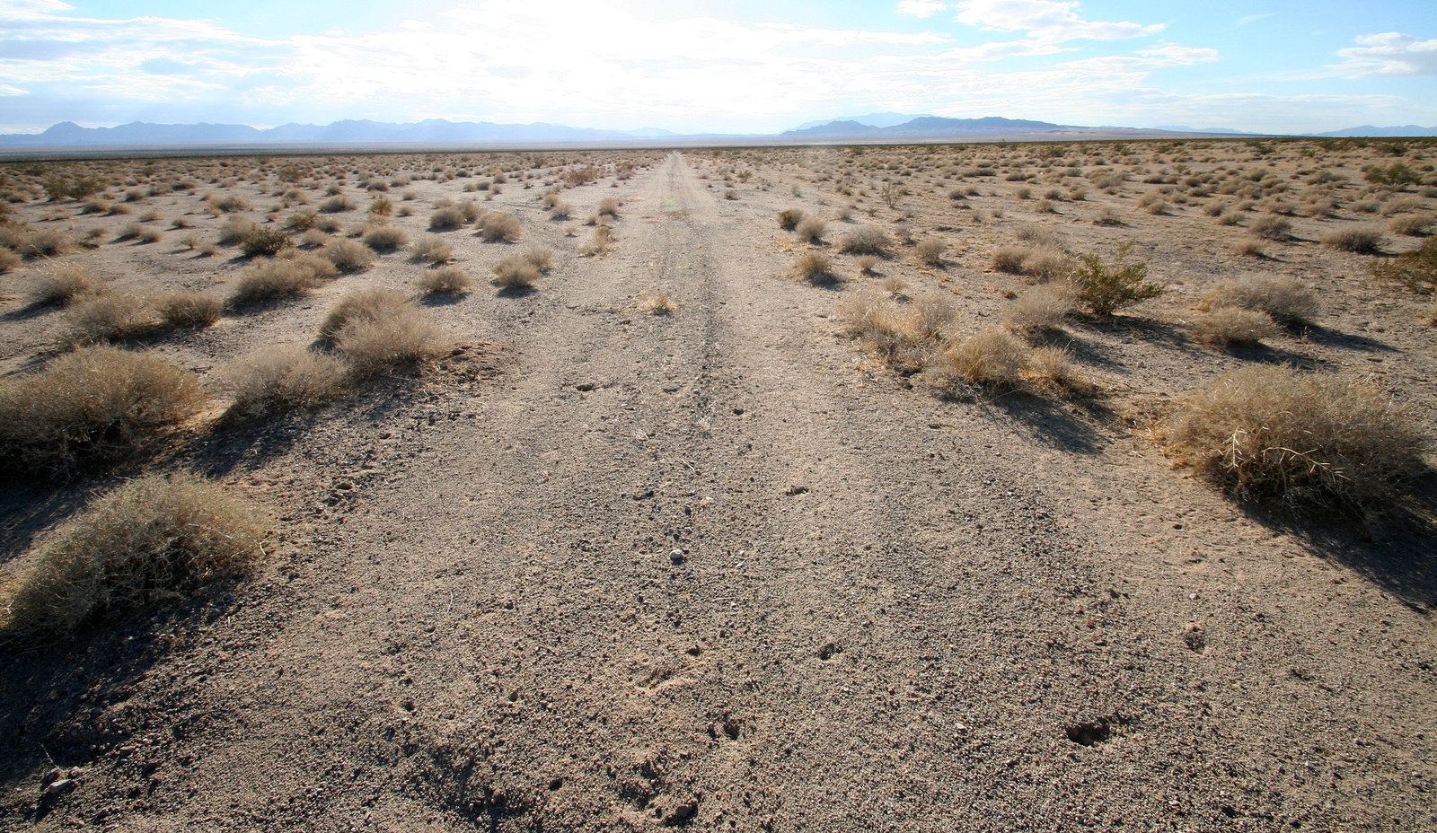 Camp Rice Air Field - Remnant of a landing strip (8270)